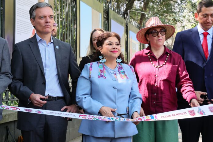 WhatsApp Image 2025-01-20 at 5.00.08 PM