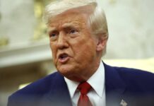 Nominan a Trump para el Premio Nobel de la Paz… por «acordar» el alto al fuego entre Irán e Israel