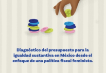 Recursos públicos insuficientes para avanzar en igualdad de género