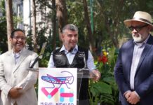 CREA TABE NUEVA DIRECCIÓN DE MEDIO AMBIENTE POR UNA ALCALDÍA MÁS VERDE