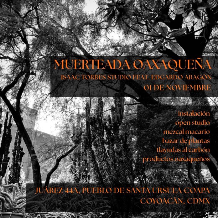 WhatsApp Image 2025-10-28 at 22.38.19