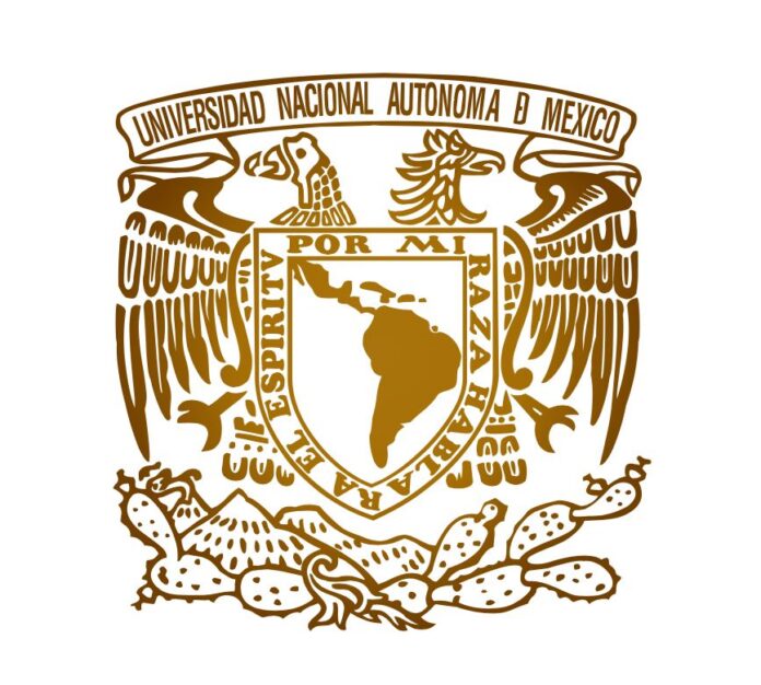 WhatsApp Image 2025-10-29 at 13.25.04