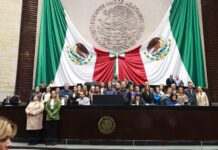 Diputadas y diputados aprobaron, por unanimidad, reformas para fortalecer los servicios de atención a la salud mental