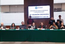 La Comisión de Pueblos Indígenas emite opinión positiva sobre la segunda entrega de informes de la Cuenta Pública 2024