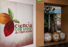 En Universum, “Ciencia con sabor a chocolate”
