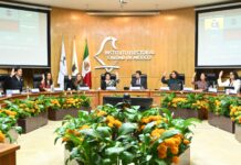 Aprueba IECM mapa electoral para la elección de COPACOS y la Consulta de Presupuesto Participativo 2026 y 2027