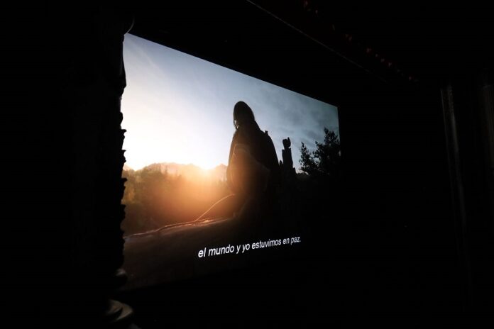 WhatsApp Image 2025-11-03 at 17.16.29