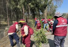 ALCALDÍAS DE IZTAPALAPA Y TLÁHUAC SUMAN ESFUERZOS PARA MEJORAR ENTORNOS Y ESPACIOS PÚBLICOS