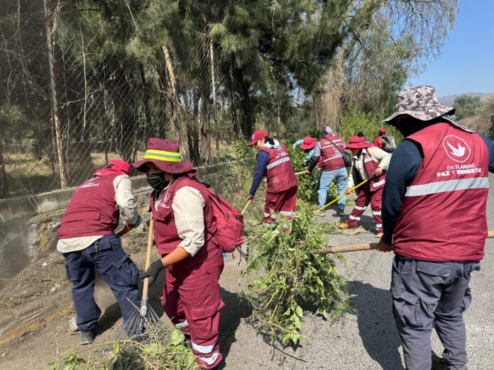 WhatsApp Image 2025-11-04 at 22.43.16