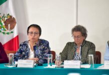 URGE ATENDER RIESGOS POR LLUVIAS, MICROSISMOS Y MATERIALES PELIGROSOS EN LA CDMX: LIZ SALGADO