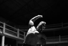 Inauguran exposición fotográfica “Lucha Libre Independiente”: la mirada urbana de Luis Juvera