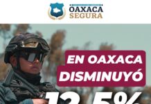 Estrategia de seguridad en Oaxaca da resultados: disminuye 12.5% el promedio diario de homicidios dolosos