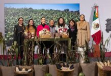 “El maíz es la raíz”: Gobierno de México impulsa un programa integral para fortalecer el campo y la economía social