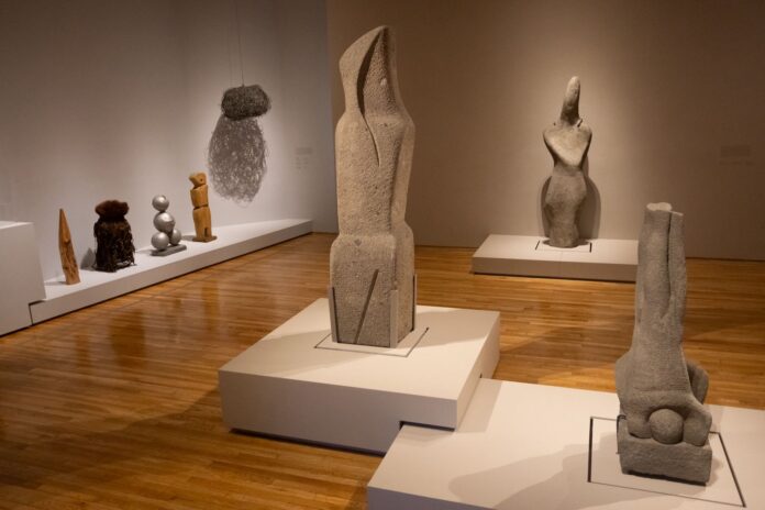 WhatsApp Image 2025-11-14 at 16.45.41