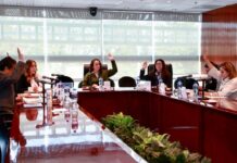 LABOR EDITORIAL DEL IEEM, UNA FORMA DE SERVICIO PÚBLICO