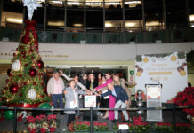 Enciende Laura Itzel Castillo Árbol de Navidad del Senado