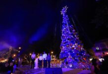 Inundan paz y alegría la Alameda de León con encendido del árbol navideño