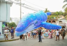 Inaugura Sectur Oaxaca la primera edición del Ballena Fest 2025 en Puerto Ángel