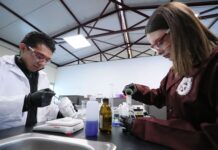 Alista IPN plástico que se disuelve y purifica el agua