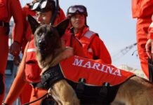 Inicia Plan Marina “Operación Salvavidas Invierno 2025”, en las playas de mayor afluencia turística de nuestro país