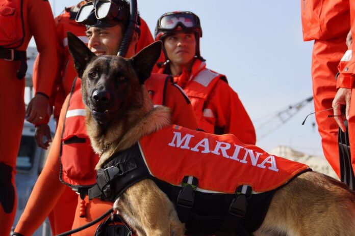 WhatsApp Image 2025-12-20 at 06.57.51