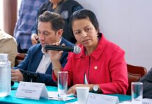 ACCIÓN NACIONAL PEDIRÁ INFORME ESPECIAL POR LA DECLARATORIA DE EMERGENCIA POR LLUVIAS EMITIDA EL PASADO 11 DE DICIEMBRE: LIZ SALGADO