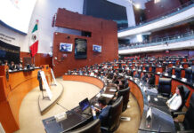 Buscan desde el Senado incentivar la participación de la juventud en la actividad parlamentaria