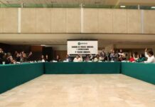 Aprueba Comisión su opinión a tres iniciativas en beneficio de pueblos y comunidades indígenas y afromexicanas