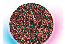 Fabrican en la UNAM chip que replica funciones del hígado humano para evaluar medicamentos