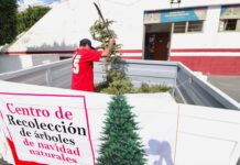 Gobierno de Nezahualcóyotl instala centros de acopio para reciclar árboles de Navidad