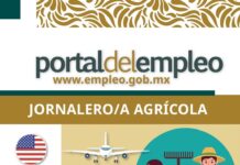 SNE abre vacantes de jornalero agrícola en Estados Unidos con salario de 35 mil pesos