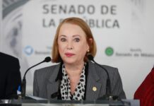 Reforma Electoral debe propiciar trabajo territorial de legisladores: Laura Itzel Castillo Juárez