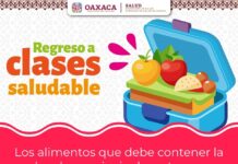 Recomienda SSO lunch saludable para niñas y niños ante el regreso a clases
