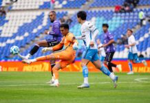 GOBIERNO DE PUEBLA DA SEGUIMIENTO A LA REPARACIÓN DEL CÉSPED EN EL ESTADIO CUAUHTÉMOC