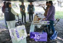 Convoca IECM a observar la Elección de las COPACO y la Consulta de Presupuesto Participativo 2026 y 2027