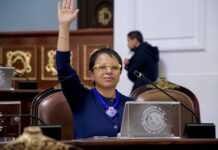 LIZ SALGADO PRESENTA INICIATIVA PARA GARANTIZAR EL MANTENIMIENTO PERMANENTE DE CÁMARAS DE SEGURIDAD ADQUIRIDAS CON PRESUPUESTO PARTICIPATIVO EN LA CIUDAD DE MÉXICO