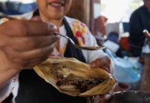 LA SECRETARÍA DE CULTURA DEL GOBIERNO DE MÉXICO INVITA A CONOCER LA RIQUEZA Y LA DIVERSIDAD DEL TAMAL