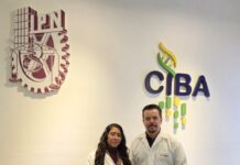 Desarrolla IPN un biosensor que detecta la bacteria asociada a la gastritis y al cáncer de estómago