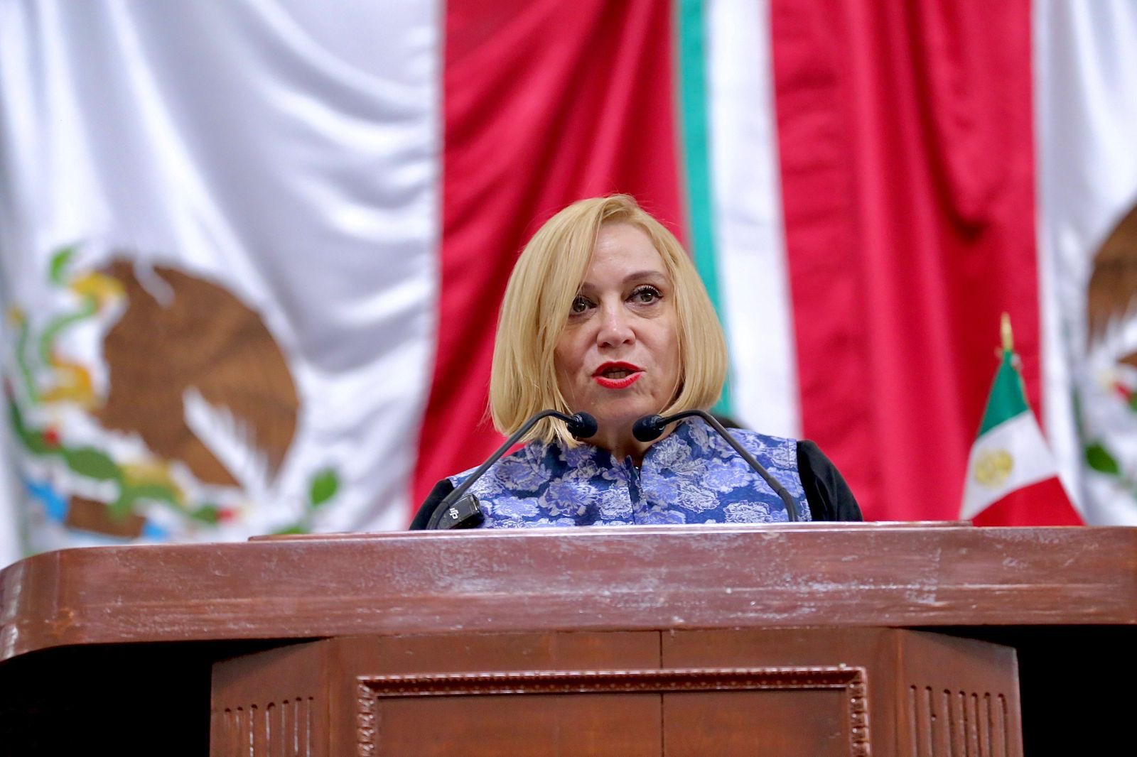 AMPLIAR CONSULTA DEL PGD NO RESUELVE SIMULACIÓN: PAN