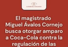 Magistrado Miguel Ávalos Cornejo busca otorgar amparo a Coca-Cola contra la regulación de comida en las escuelas del país