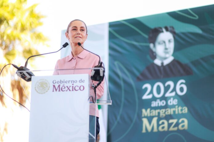 WhatsApp Image 2026-02-01 at 16.36.38