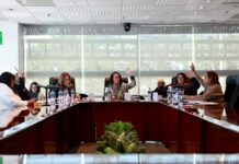 PROGRAMA EDITORAL 2026 DEL IEEM: DIVERSO Y ESTRATÉGICO