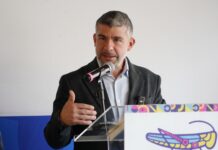 PIDE TABE A GOBIERNO CDMX APOYO PARA MANTENIMIENTO DE 14 VIALIDADES PRIMARIAS