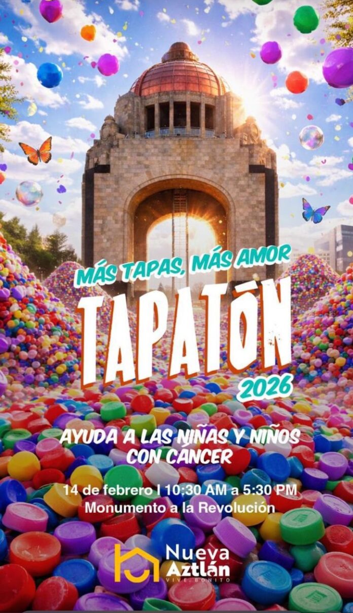 WhatsApp Image 2026-02-13 at 19.10.46