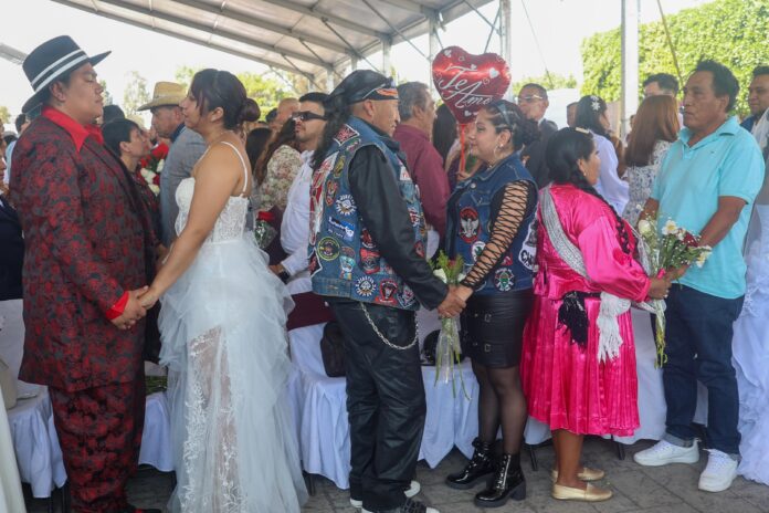 WhatsApp Image 2026-02-14 at 20.14.42