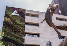 CONCANACO SERVYTUR reconoce fallo de la Suprema Corte de EE. UU. y llama a consolidar certidumbre para empresas y negocios familiares