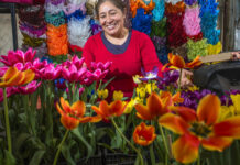 Campo mexicano, listo para la festividad del 14 de febrero