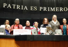 Proponen al Senado impartir materias en lenguas maternas de nuestro país para su conservación