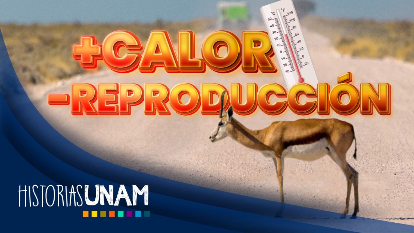 EL CAMBIO CLIMÁTICO DAÑA LA CAPACIDAD REPRODUCTIVA DE LA FAUNA