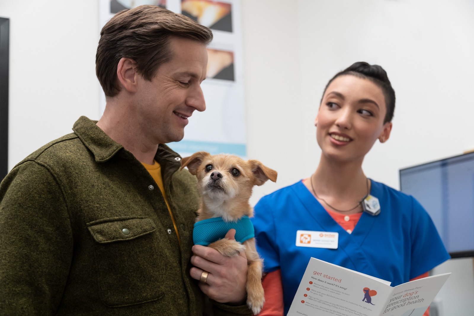 Viajar con mascotas: cómo preparar a tu perro o gato para unas vacaciones seguras